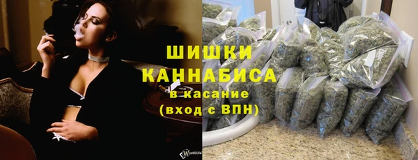 крисы Богданович