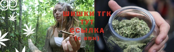 гидра Нея